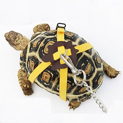 亀 蜥蜴用牽引ロープ ペットリード 小動物引きひも お出かけ散歩用リーシュ (L)