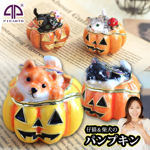 https://thumbnail.image.rakuten.co.jp/@0_mall/toritaniya/cabinet/piearth/jb3/459.jpg?_ex=500x500