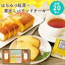はちみつ紅茶 パウンドケーキ ギフトセット【送料無料】蜂蜜紅茶 ティーバッグ TEARTH おしゃれ 個包装 お茶 プレゼント バレンタイン 初節句 入学 入園 誕生日 内祝い お返し 出産内祝い 名入れ 結婚内祝い 出産祝い 結婚祝い 焼き菓子 快気祝い