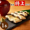 大正八年創業の老舗とタッグ 国産 うなぎ 白焼き 送料無料 220-250g×1本 ギフト