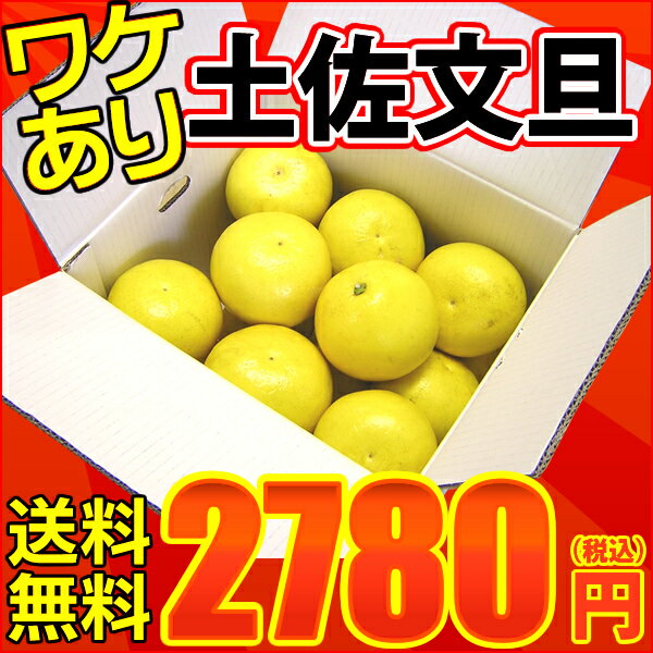 訳あり土佐文旦（露地文旦）10kg　玉数・サイズおまかせ(小玉・中玉・大玉)ぶんたん　ブンタン高知産土佐文旦（シミ・キズあり）を訳あり価格＆送料無料で♪土佐の文旦を是非♪