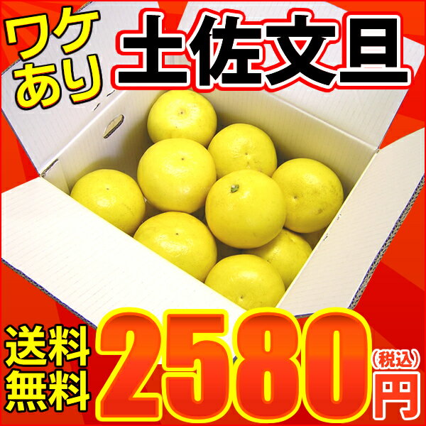 文旦★訳あり土佐文旦（露地）10kg　玉数・サイズおまかせ(小玉・中玉・大玉)高知産土佐文旦（シミ・キズあり）を訳あり＆送料無料で♪