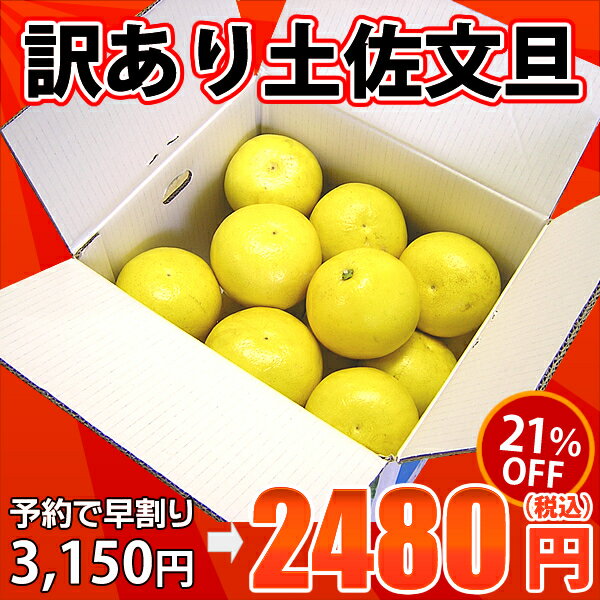 楽天最安値に挑戦！！文旦★訳あり土佐文旦（露地）10kg　玉数・サイズおまかせ(小玉・中玉・大玉)高知産土佐文旦（シミ・キズあり）を訳あり特価＆送料無料で♪