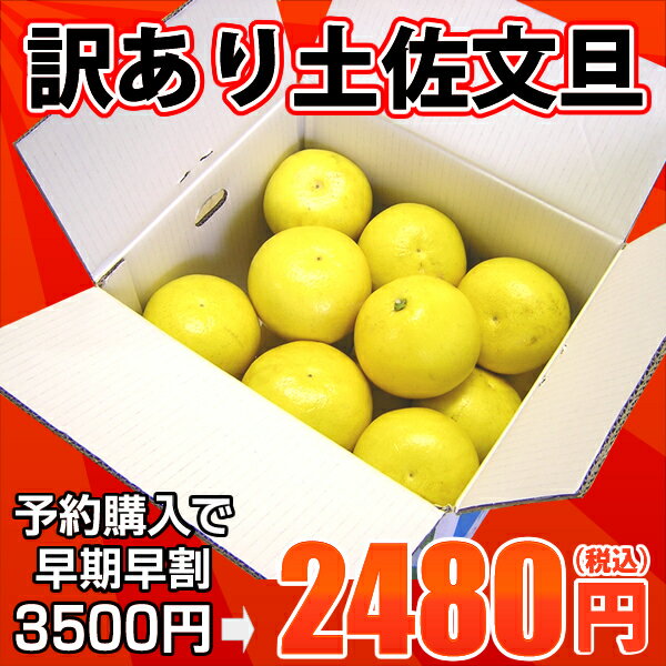 楽天最安値に挑戦！！文旦★訳あり土佐文旦（露地）10kg　玉数・サイズおまかせ(小玉・中玉・大玉)高知産土佐文旦（シミ・キズあり）を訳あり特価＆送料無料で♪