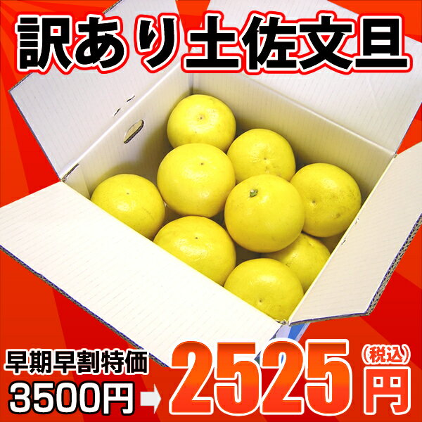 文旦★訳あり土佐文旦（露地）10kg　玉数・サイズおまかせ(小玉・中玉・大玉)高知産土佐文旦（シミ・キズあり）を訳あり特価＆送料無料で♪