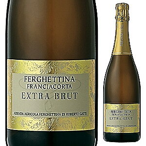 【6本〜送料無料】フランチャコルタ エクストラ ブリュット 2005 フェルゲッティーナFranciacorta Extra Brut 2005 Azienda Agricola Ferghettina[イタリアワイン]