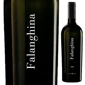 【6本〜送料無料】 ファランギーナ 2010 ヴィノジアFalanghina 2010 Vinosia[イタリアワイン]