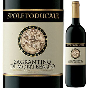 【6本〜送料無料】サグランティーノ ディ モンテファルコ 2004 スポレート デュカーレSagrantino di Montefalco 2004 SPOLETO DUCALE[イタリアワイン]