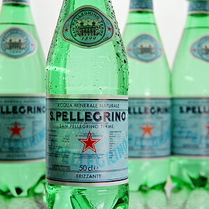  サンペレグリノ 500mlペットボトル　2ケース（48本）  イタリアを代表するスパークリングウォーター サンペレグリノ