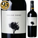 ジェルソ ネロ 2020 ポデーレ ヴェンティ ノーヴェ 750ml 赤ワイン Gelso Nero Podere 29