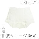 【スーパーセール割引・値引き】【和装ショーツ 3枚組 LL/3L/4L/5L】股割 大きいサイズ 特殊サイズ 和装下着 婦人用 装道 装いの道 売り切り 在庫限り レディース 和装ショーツ 着物 浴衣 着付け小物 メール便不可