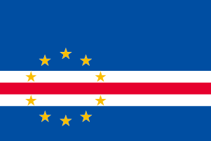 Ƒ傫ߎTCY̍I200݌!I[2700~E̍@J[{xfETCY[50~75cmEeg]yΉ