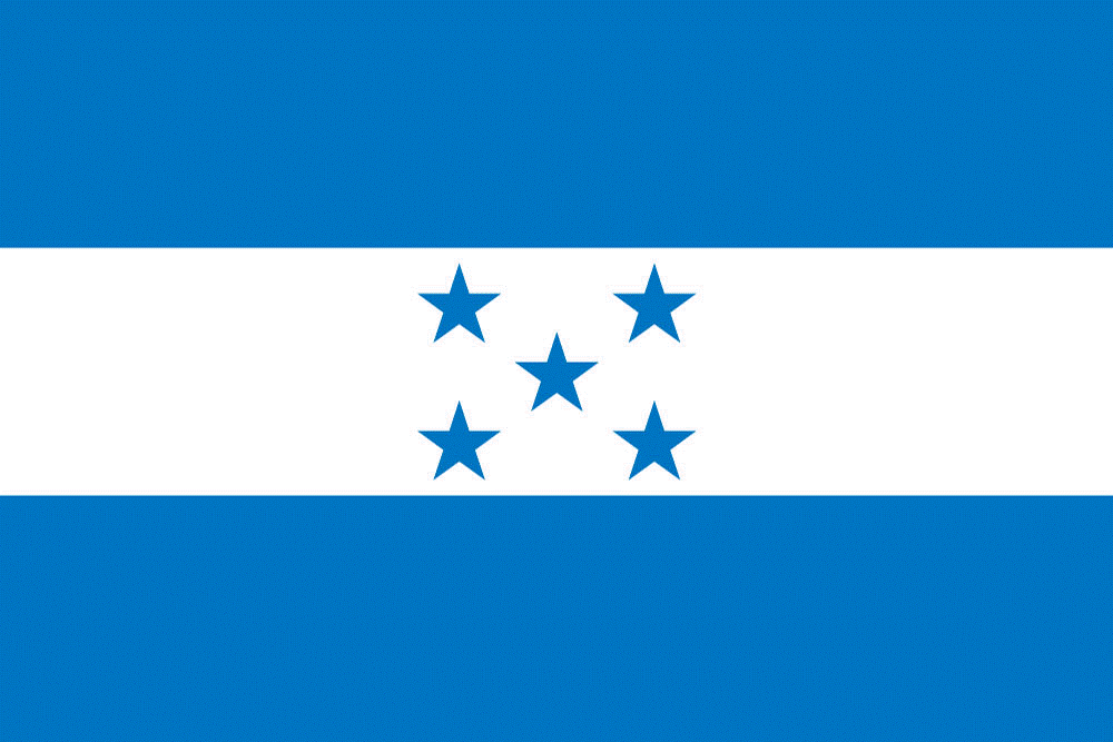 X|[c̉ɁI200݌ɁzWX[|[tETCY25~37.5cm]yΉ