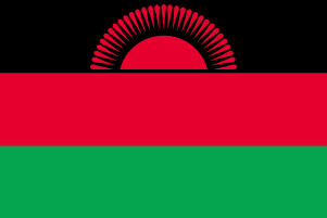 200݌!I[5700~E̍@}EC[90~135cmEeg]yΉ