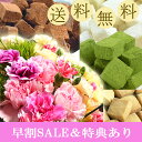 母の日 ギフト カーネーション 送料無料 産地直送カーネーション・ブーケと3種類の生チョコ&クッキーセット 母の日特典(早割 4/23まで)(メッセージカード付...