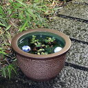 信楽焼 13号松皮スイレン鉢 メダカ鉢、金魚鉢にも最適 睡蓮鉢 陶器スイレン鉢 ハス鉢 はす鉢 めだか鉢 鉢 陶器 水連鉢 水鉢 睡蓮鉢 信楽焼き睡蓮鉢 su-0201