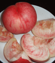 ちょっと訳有りだからお買得！白桃3kg※対象品種は「金山（硬い桃）」となります。もぎたて新鮮な果実をお届け致します！