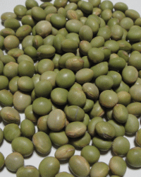 無農薬栽培青大豆（秘伝豆）1kg※メール便でのお届けとなります。