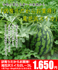 L肾炨IԑXCJi2L?3LTCYj