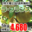ラ・フランス(特秀品)5kg(5L〜6Lサイズ)【送料無料(...