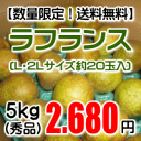ラ・フランス(秀品)5kg(L・2Lサイズ/約20玉入)【送...
