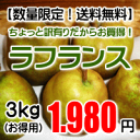 【ちょっと訳有り】ラ・フランス3kg(3...