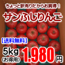 ちょっと訳有りだからお買得!サンふじりんご5kg【送料無料(...