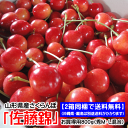 【早期予約受付】【初回限定!今だから100g増量中】お買得用...