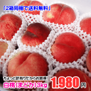 ちょっと訳有りだからお買得!白桃3kg※対象品種は「まどか(硬めの白桃)」※さらに2箱