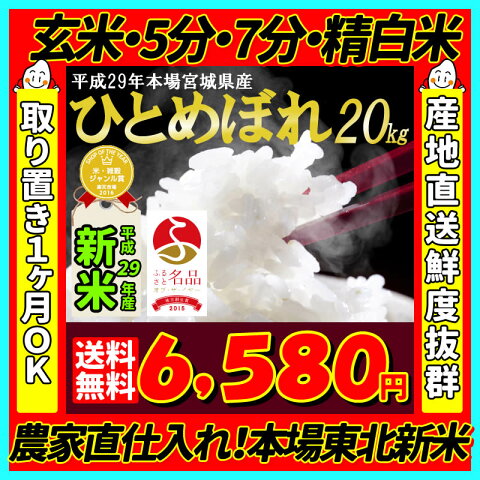 ■新米■29年産 宮城県産 ひとめぼれ 20kg！玄米5分7分精白米(精米時重量約1割減)【米】【ss】