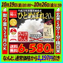 29年 米 20kg 送料無料 白米 お...