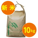 平成23年宮城県産ひとめぼれ(10kg)【1等米】【玄米】【送料無料】【がんばろう！宮城】