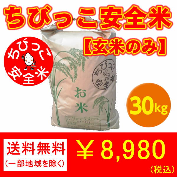 【がんばろう！宮城】ちびっこ安全米(30kg)【玄米のみ】【送料無料】