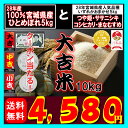 28年宮城県産ひとめぼれ5kgと28年お任せ品種5kg(コシヒカリ・つや姫・ササニシキ・まなむすめ)!さらに最大1,000円OFFクーポンが当たる!大吉米10kg【米】