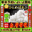 ■新米■29年産 宮城県産 ひとめぼれ 20kg!玄米,5分,7分,精白米(精米時重量約1割減)内閣府後援地方創生賞受賞店!【米】