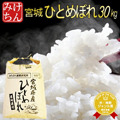 令和5年産 本場 宮城県産 <strong>ひとめぼれ</strong> <strong>30kg</strong> 玄米 5分 7分 精白米(精米時重量約1割減) <strong>30kg</strong> 【白米 ヒトメボレ お米 ごはん ご飯 精米 産地直送 米処 美味しい おこめ こめ】