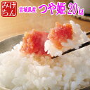 30年産 宮城県産 つや姫 20kg!玄... 30年産 宮城県産 つや姫 20kg!玄...