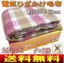【送料無料】電気ひざ掛け毛布(電気毛布/電気ひざか