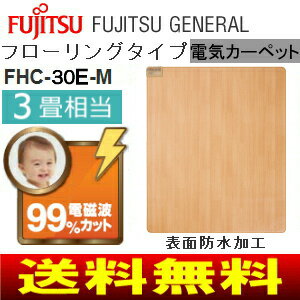 fhc-30e-1