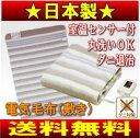 【送料無料】電気敷き毛布(電気敷毛布、電気しき、電気毛布、電気ブランケット)洗える/ダニ退治/シングル【RCP】 NA-023S