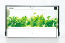 ユーイング(U-ING) 水耕栽培器(水耕栽培キット/水耕栽培セット) LED照明付【RCP】GreenFarm(グリーンファーム) UH-A01E1 ユーイング(U-ING) 水耕栽培器(水耕栽培キット/水耕栽培セット) LED照明付【RCP】GreenFarm(グリーンファーム) UH-A01E1