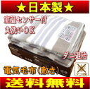 【ポイント2倍】【送料無料】【na-023s】電気