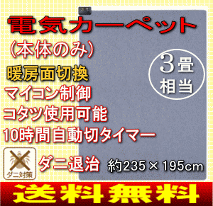 ホットカーペット本体(電気カーペット本体)　3畳用　10時間自動切タイマー・マイコン制御(節電)広電(KODEN)　CWC-30013畳相当電気カーペット(本体のみ)節電提案コンパクトモデル。(お手軽 床暖房)