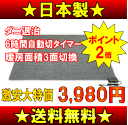 三京　2畳用　ホットカーペット本体（電気カーペット本体） 節電（6時間自動切タイマー）　ダニ退治 　HT-20