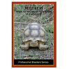 Sulcata in Captivity ケヅメリクガメの飼育と繁殖 ECOユニバース(エコユニバース) Sulcata in Captivity ケヅメリクガメの飼育と繁殖 ECOユニバース(エコユニバース)