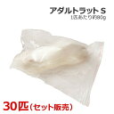 冷凍 アダルトラット Sサイズ 30匹
