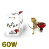 ペットペットゾーン インフラレッドヒートランプ 60W PLI63R60 ゼンスイ株式会社 ペットペットゾーン インフラレッドヒートランプ 60W PLI63R60 ゼンスイ株式会社