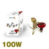 ペットペットゾーン インフラレッドヒートランプ 100W PLI80R100 ゼンスイ株式会社 ペットペットゾーン インフラレッドヒートランプ 100W PLI80R100 ゼンスイ株式会社