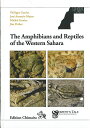 yzThe Amphibians And Reptiles Of The Western Sahara E AtJTn̗...