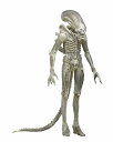 【まもなく再入荷 1607】NECA Alien シリーズ7 AVP Concept 79' /エイリアン